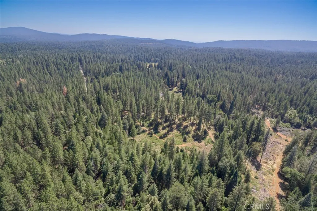 0 Forbestown Road Oroville, CA 95966 - Photo 19 of 40 a view of a lush green hillside and a building