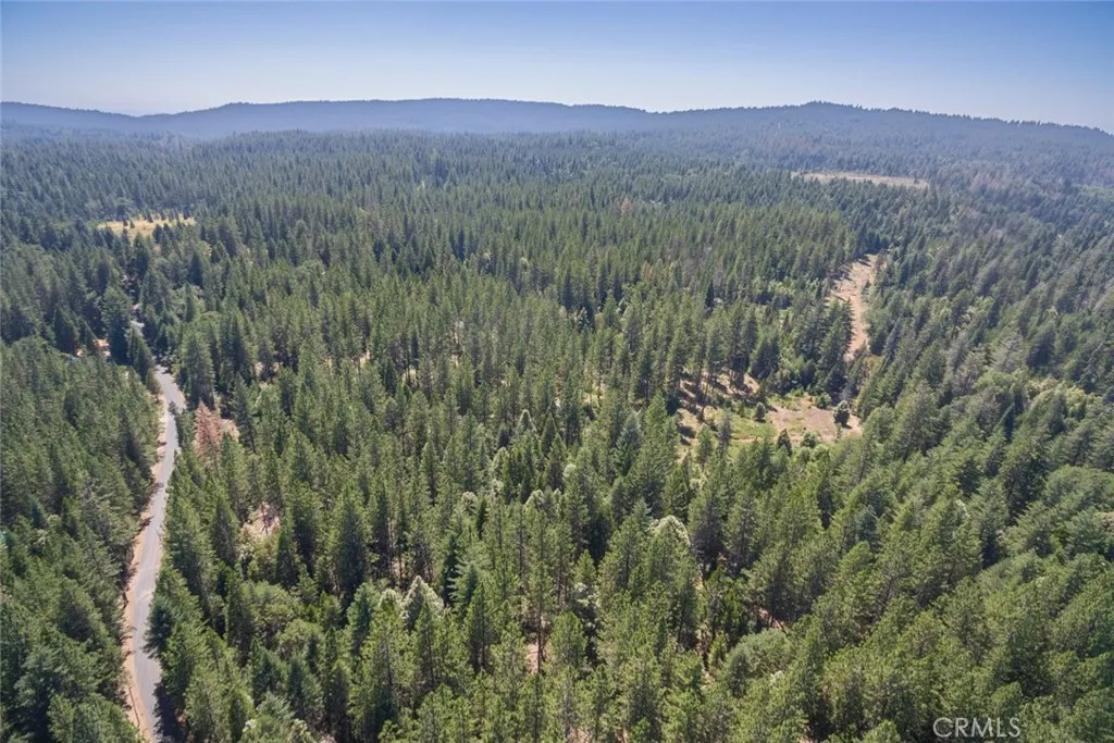 0 Forbestown Road Oroville, CA 95966 - Photo 20 of 40 a view of a lush green hillside and a houses