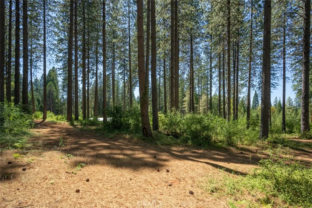 0 Forbestown Road Oroville, CA 95966 - Photo 22 of 40 a view of backyard with green space
