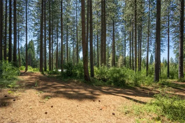 a view of outdoor space with trees