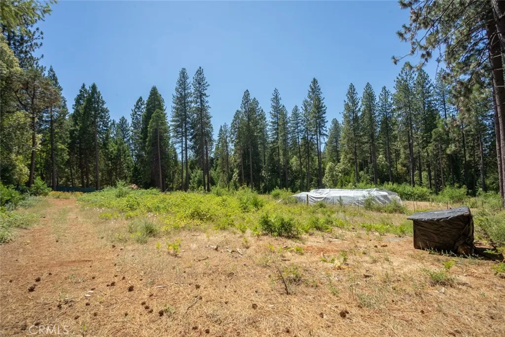 0 Forbestown Road Oroville, CA 95966 - Photo 25 of 40 a view of backyard with green space
