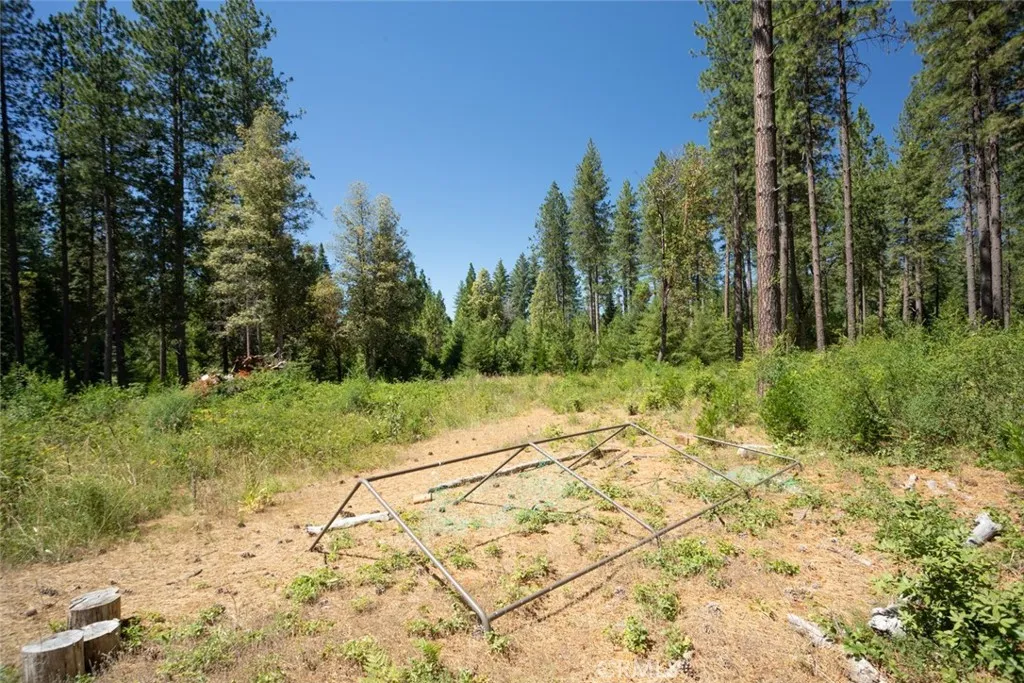 0 Forbestown Road Oroville, CA 95966 - Photo 27 of 40 a view of a yard with trees