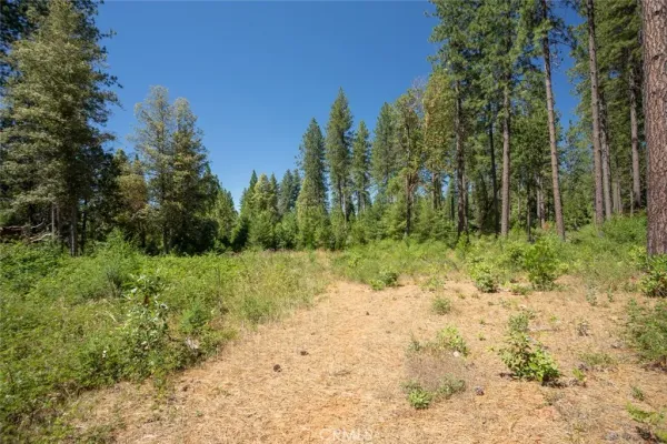 a view of a backyard of the house