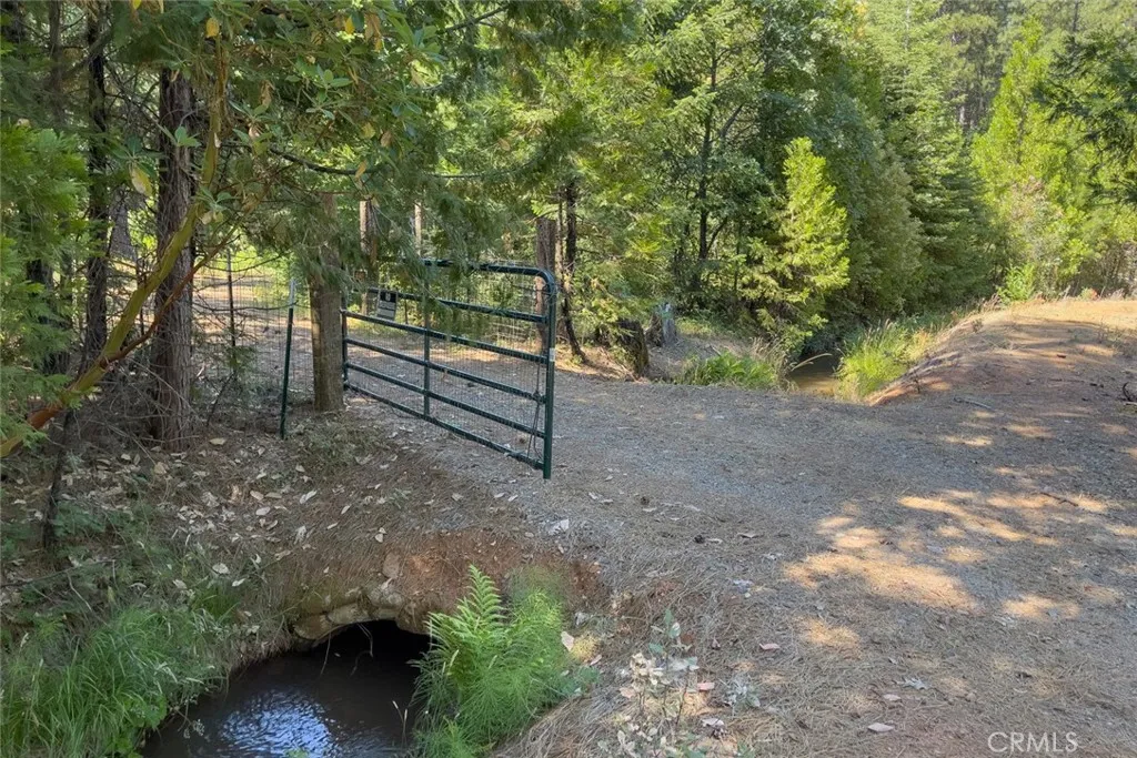 0 Forbestown Road Oroville, CA 95966 - Photo 3 of 40 a view of a forest with trees in the background