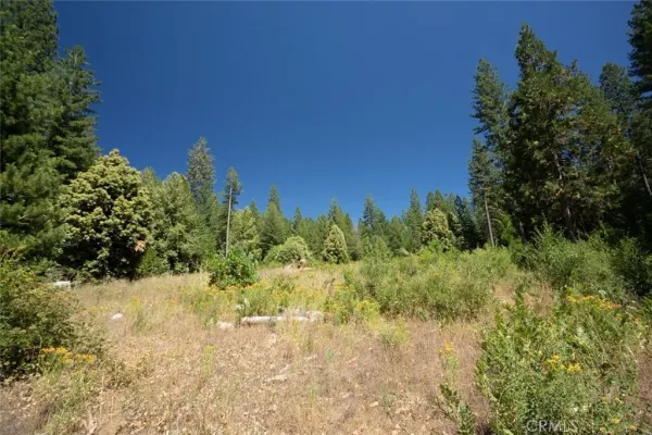 a view of outdoor space and trees