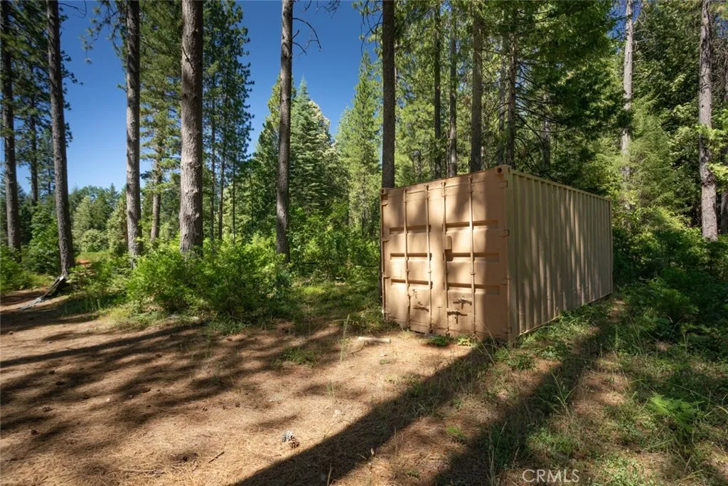 0 Forbestown Road Oroville, CA 95966 - Photo 39 of 40 a view of a backyard with plants and large trees