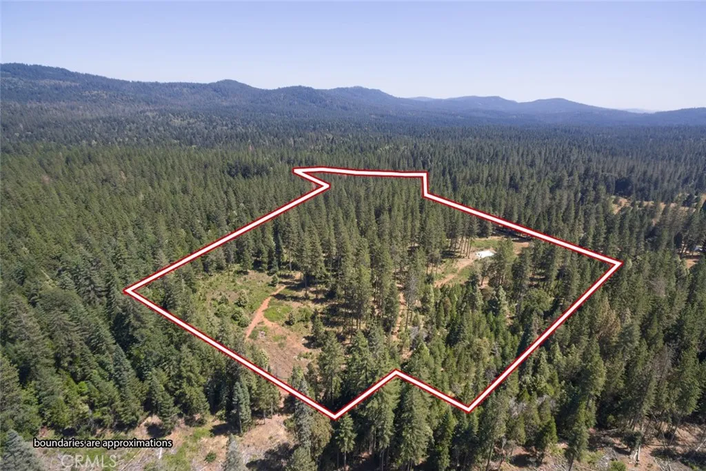 0 Forbestown Road Oroville, CA 95966 - Photo 4 of 40