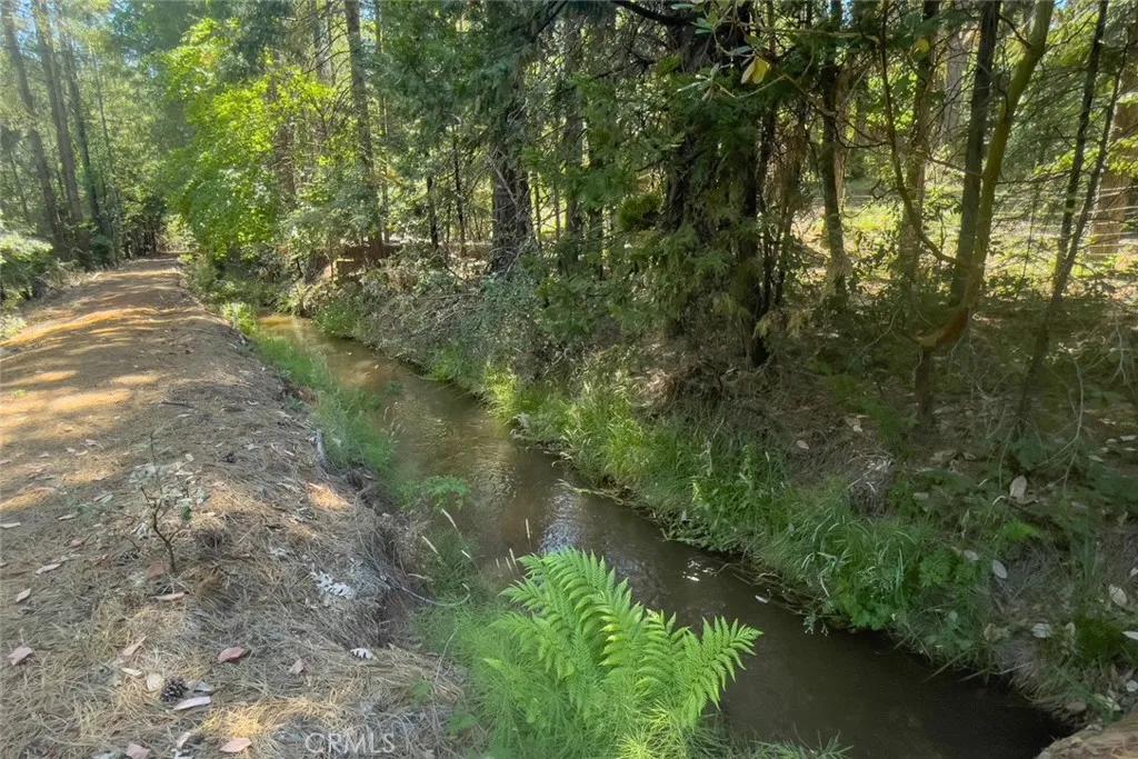 0 Forbestown Road Oroville, CA 95966 - Photo 5 of 40 a view of a lake with lots of trees