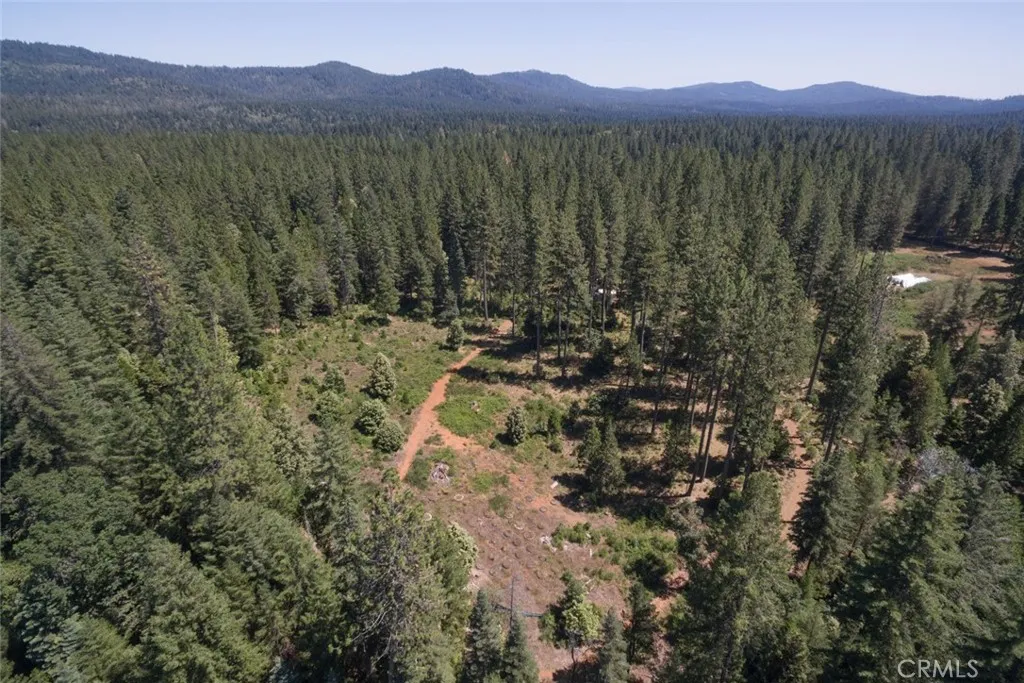 0 Forbestown Road Oroville, CA 95966 - Photo 6 of 40 a view of a forest with a mountain