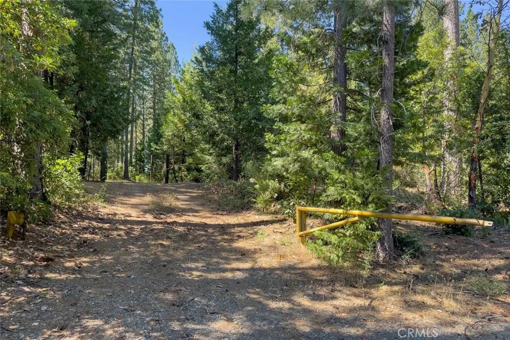 0 Forbestown Road Oroville, CA 95966 - Photo 7 of 40 a backyard of a house with lots of green space