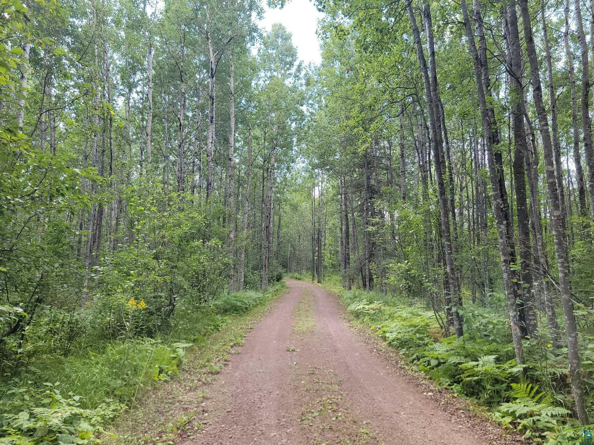 181 Linnell Road Grand Marais, MN 55604 - Photo 76 of 77 Dirt road surrounded by dense wooded areas and natural vegetation