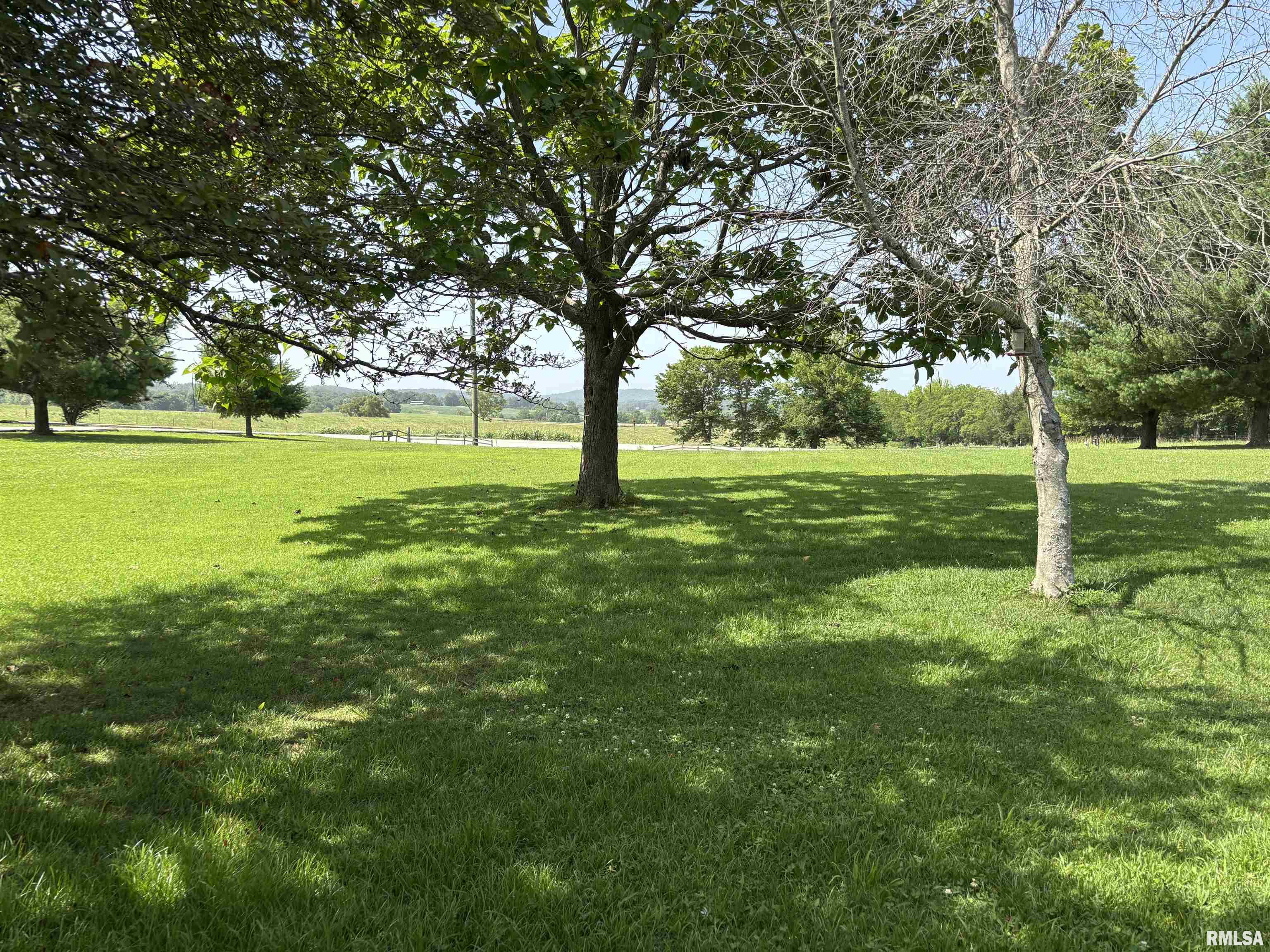 6000 Lick Creek Road Anna, IL 62906 - Photo 15 of 41