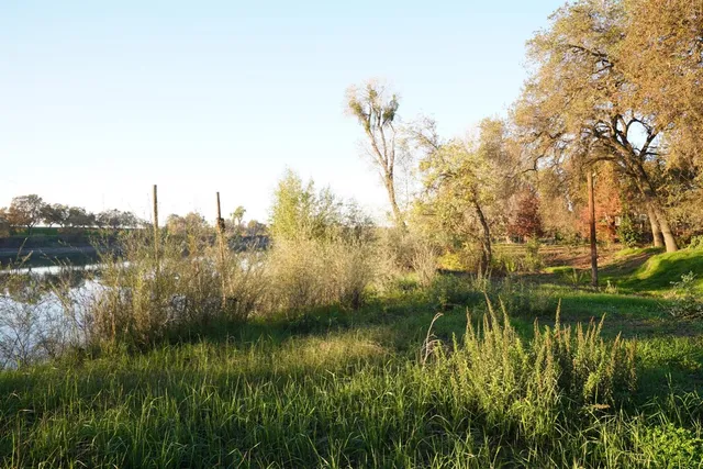 a view of yard with green space