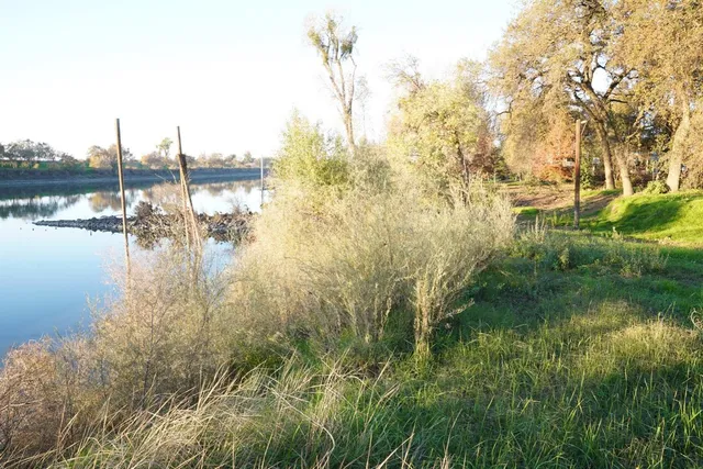 a view of a yard with swimming pool