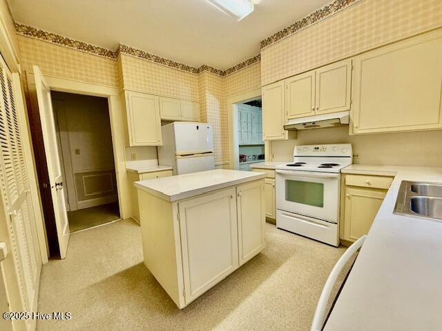 911 Ann Street Rockingham, NC 28379 - Photo 7 of 28 IMG_3249