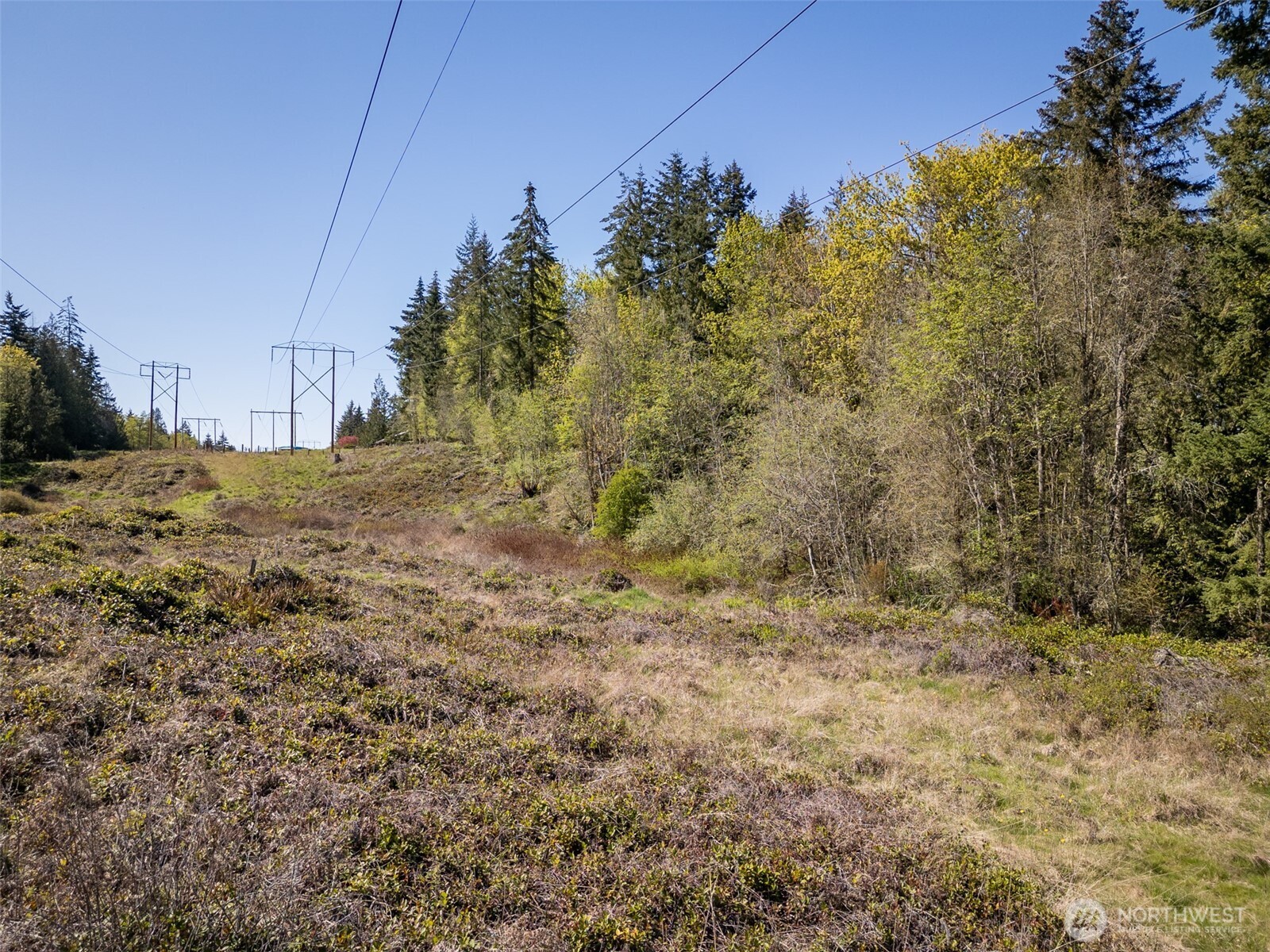 0 Roy Street Port Angeles, WA 98362 - Photo 21 of 23
