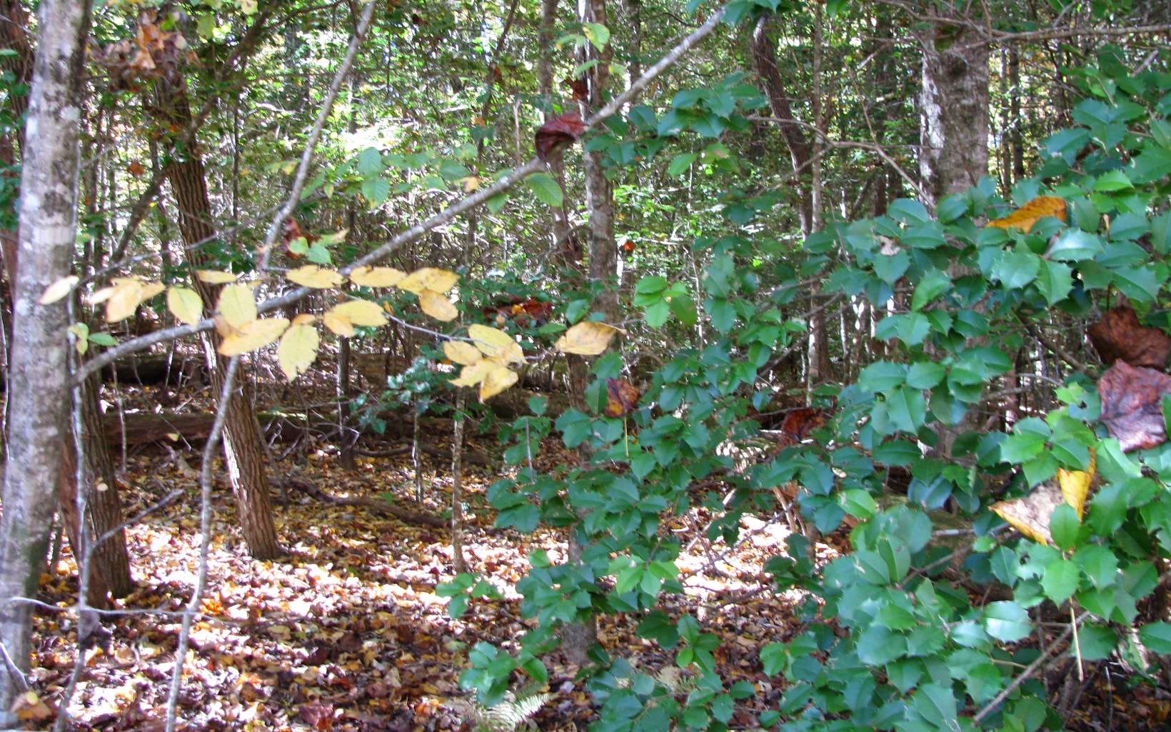 3 Hf Lyons Road Hiawassee, GA 30546 - Photo 2 of 10 Additional View