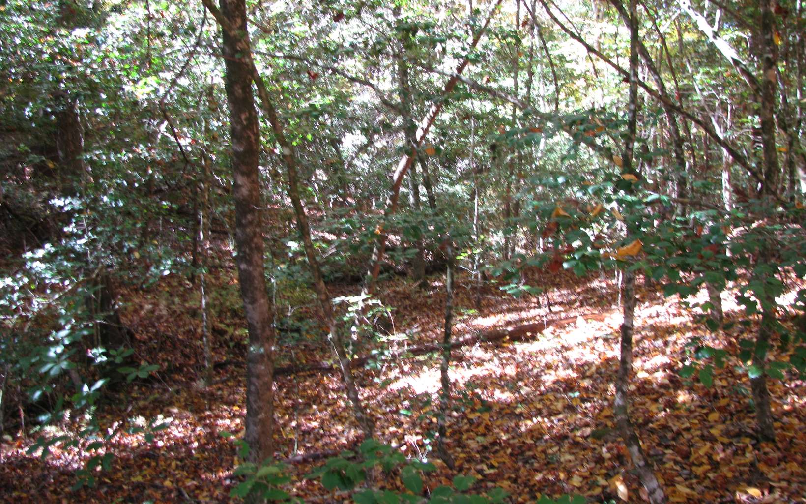 3 Hf Lyons Road Hiawassee, GA 30546 - Photo 4 of 10 Additional View