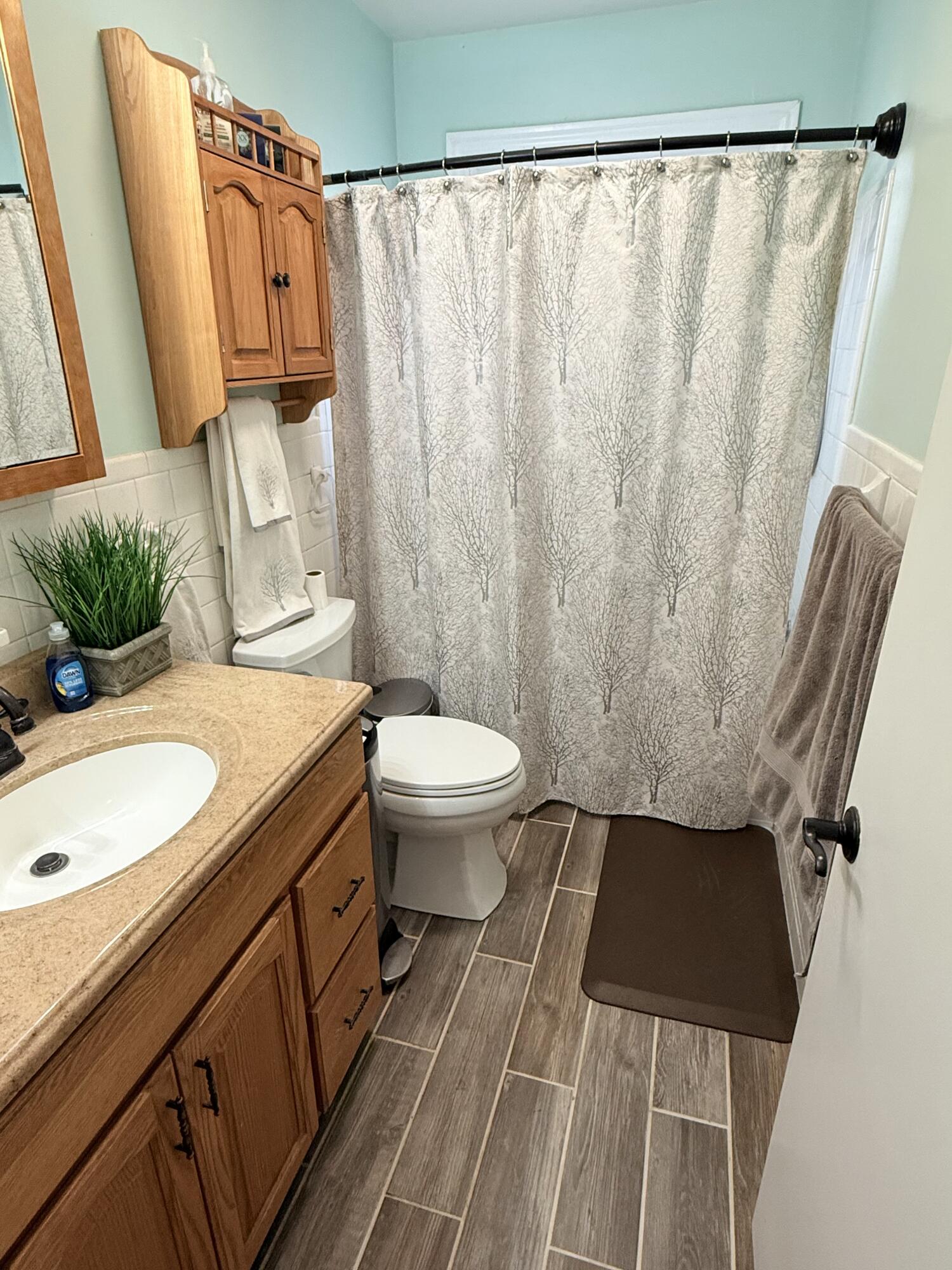 136 Sherwood Drive Blue Ridge, VA 24064 - Photo 13 of 20 Bathroom
