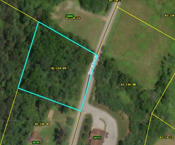 Lot 9 Sugar Run Road Littleton, WV 26581 - Photo 4 of 6 Gallery Image 4