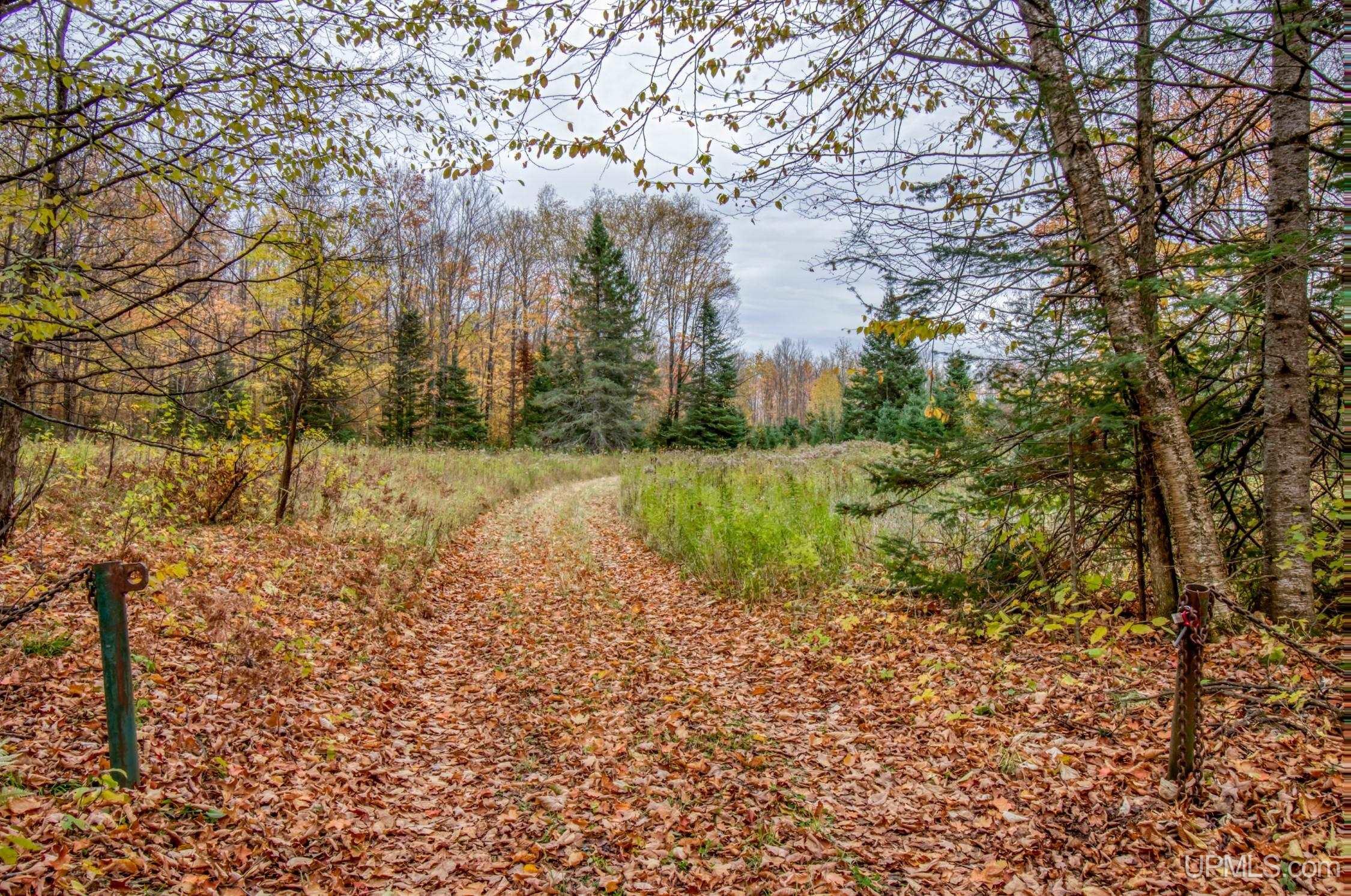 Tbd Tbd Lerza Road Sagola, MI 49881 - Photo 10 of 22