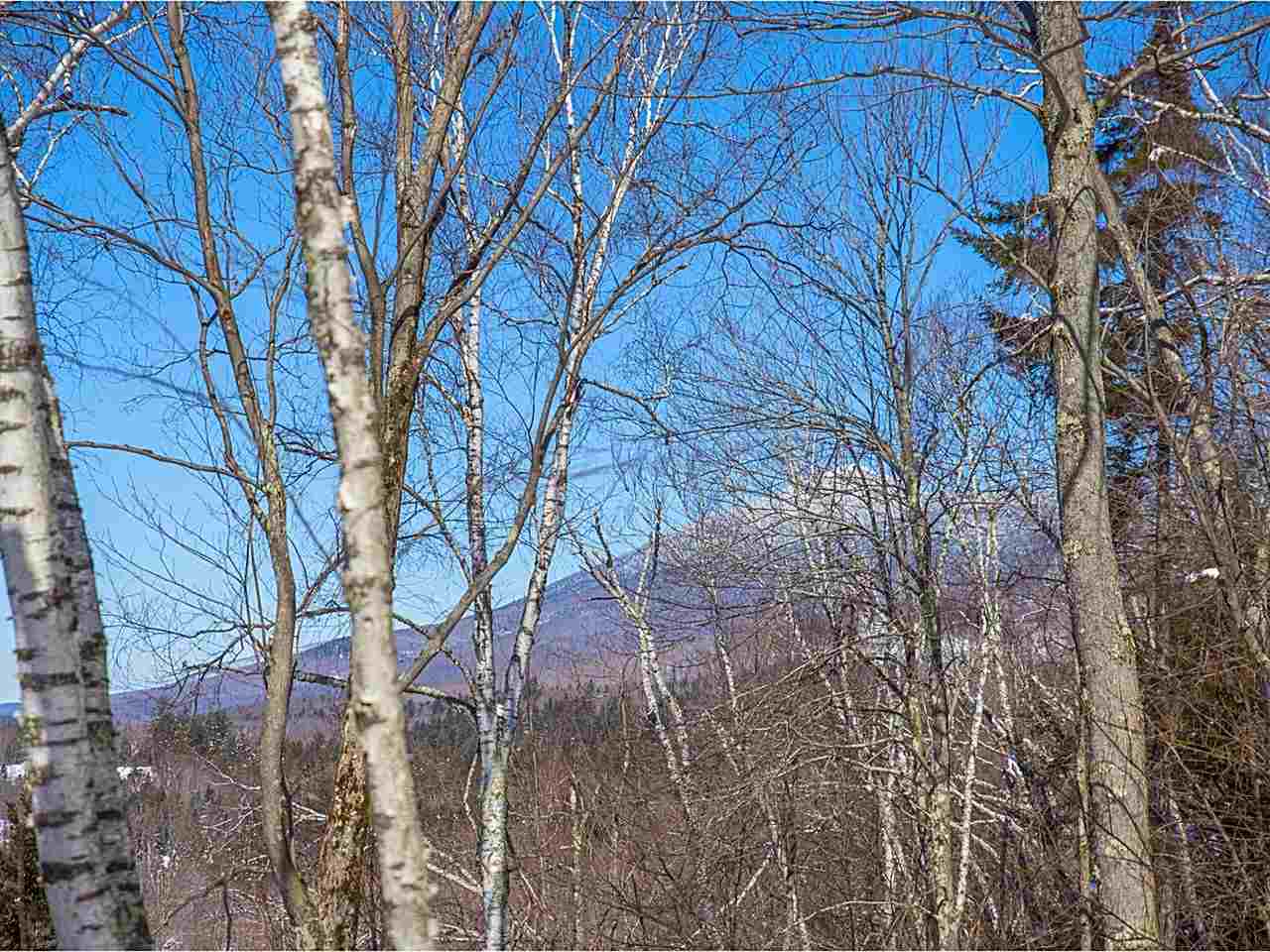 3035 South Lincoln Road Lincoln, VT 05443 - Photo 19 of 23