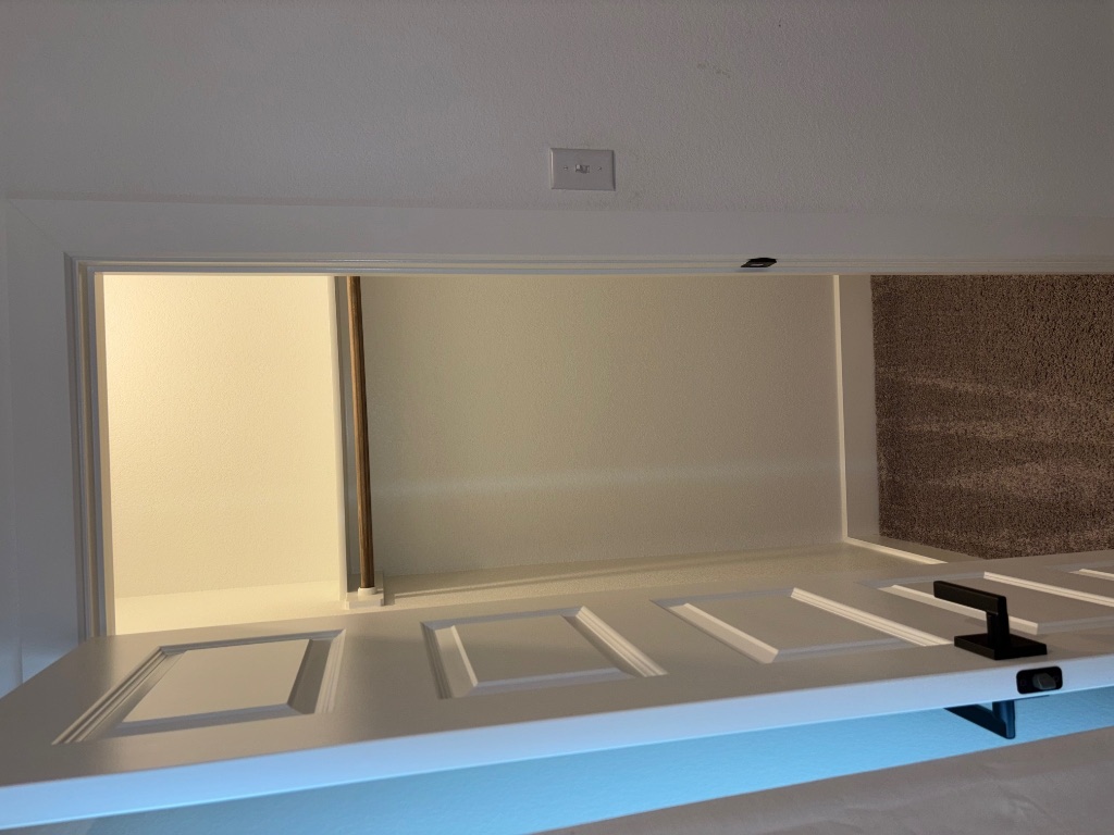 2128 Little Snake Way Georgetown, TX 78633 - Photo 9 of 32 a view of walk in closet