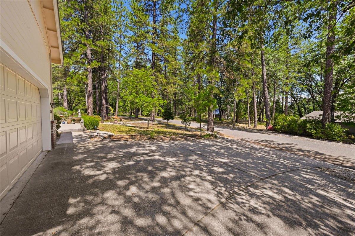 12600 Friar Tuck Road Grass Valley, CA 95949 - Photo 51 of 56 a view of yard