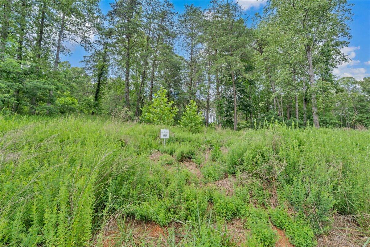 Lot 85 Crestview Road Wirtz, VA 24184 - Photo 11 of 23 14-MIB08544