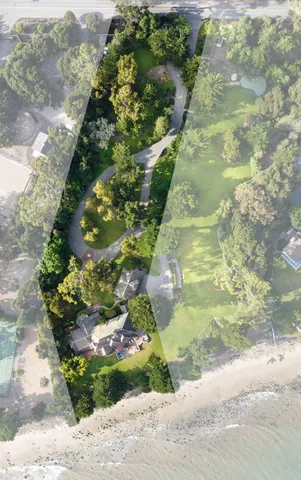 a view of a yard with flower plants