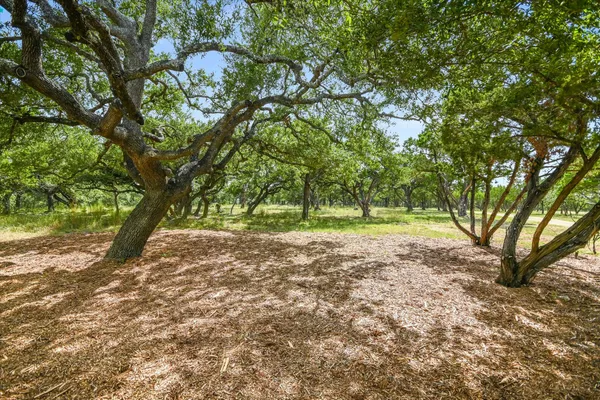 a view of outdoor space with wooden floor and outdoor space