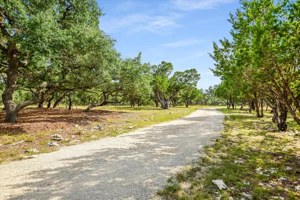 a view of a yard with a tree