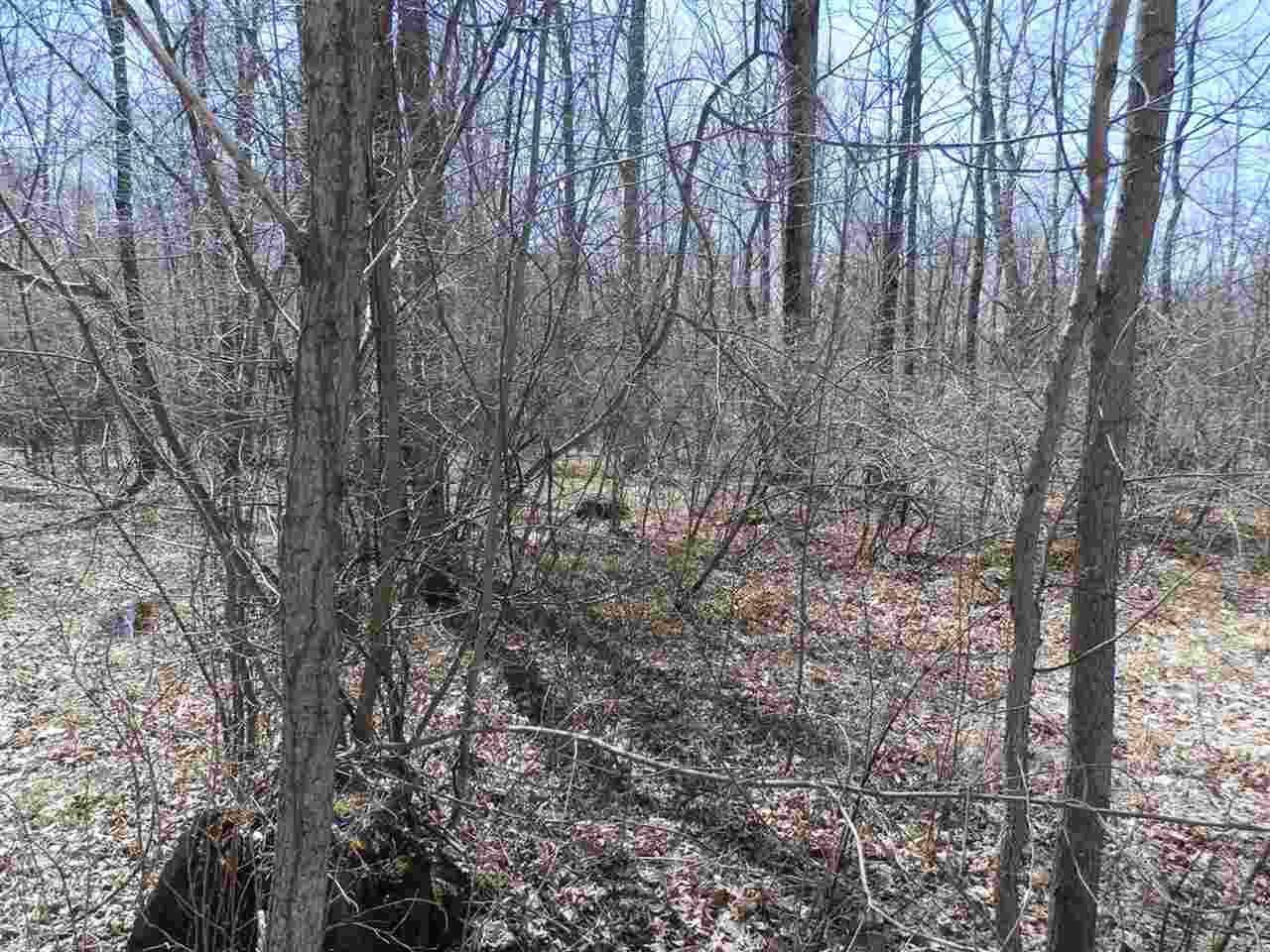 11396 Seymour Road Burt, MI 48417 - Photo 30 of 40