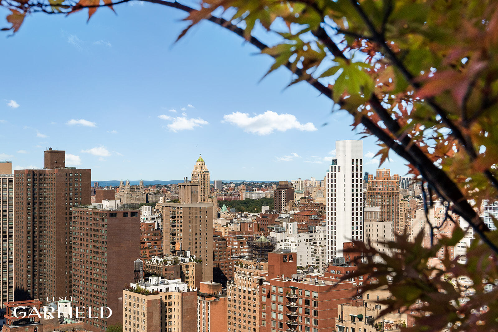 400 East 70th Street, Unit 3602 Manhattan, NY 10021 - Photo 21 of 21 a view of a city with tall buildings