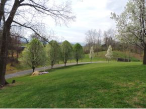 295 Tweed Road Limestone, TN 37681 - Photo 23 of 24 Trees Everywhere