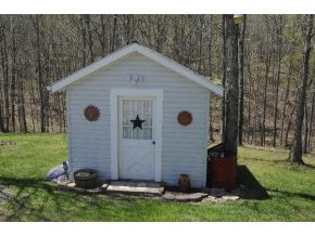 295 Tweed Road Limestone, TN 37681 - Photo 4 of 24 Storage Shed