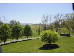 295 Tweed Road Limestone, TN 37681 - Photo 5 of 24 Lovely Driveway