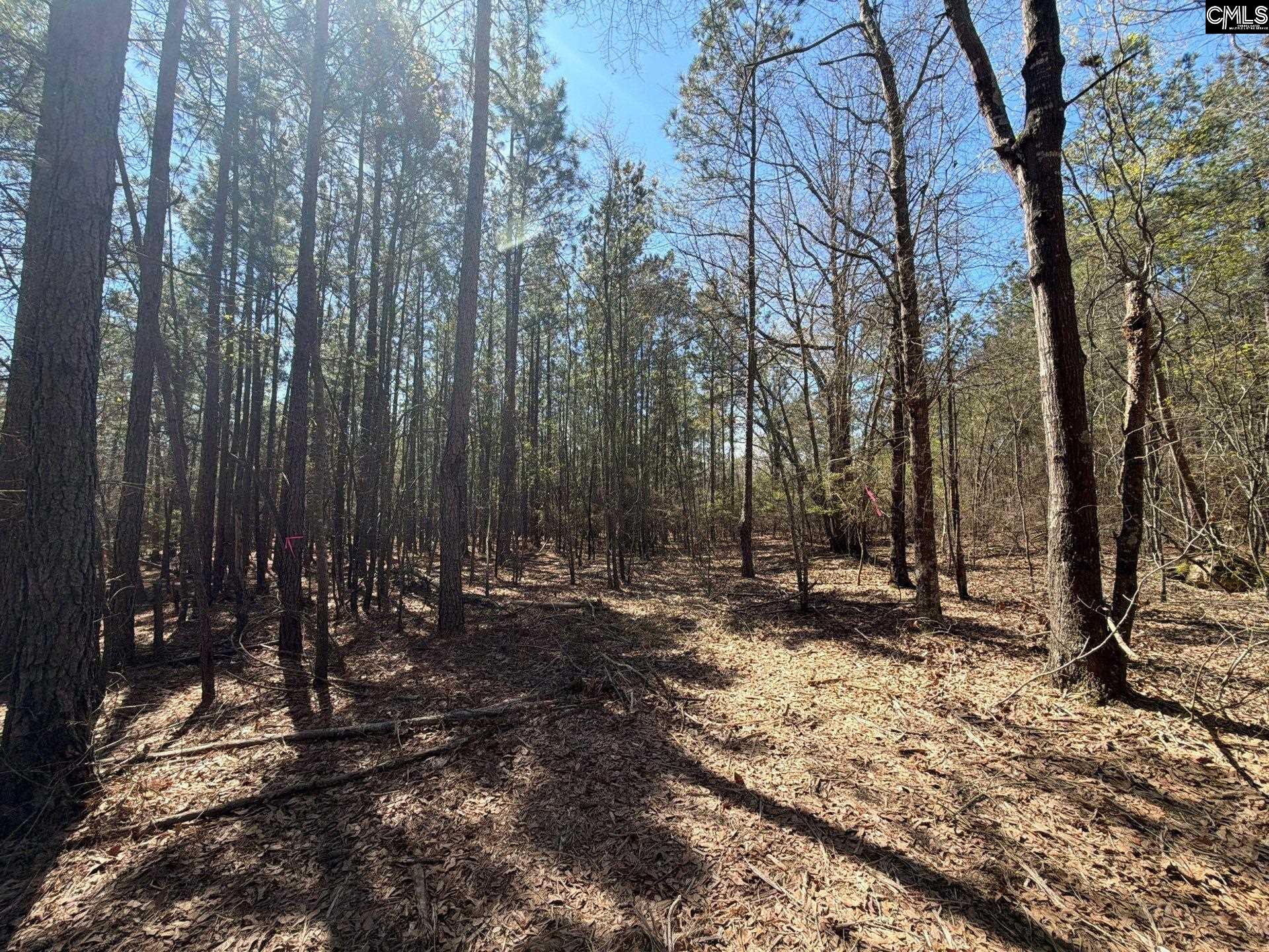11 Boise Cascade Road, Unit BHL 11 Bethune, SC 29009 - Photo 15 of 24