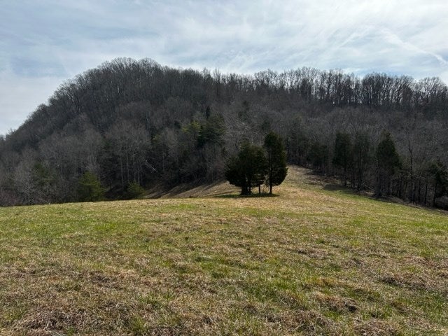 Tbd New Garden Road Cleveland, VA 24225 - Photo 6 of 38 Gallery Image 6
