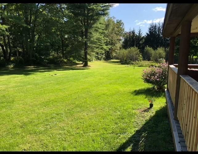 769 N Road Hardwick, MA 01037 - Photo 18 of 25 a view of yard