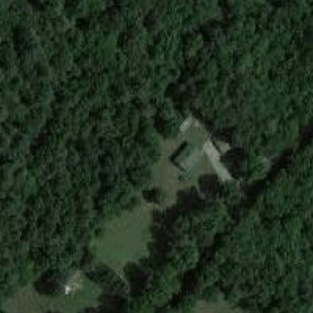 769 N Road Hardwick, MA 01037 - Photo 23 of 25 a view of a forest with a forest