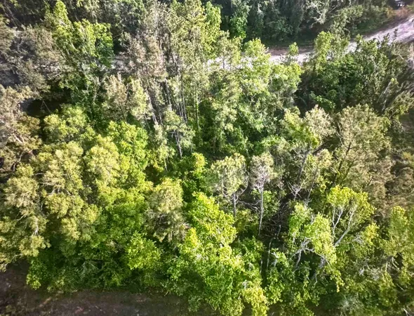 $15,000 | 0 Northeast Rue Drive, Pinetta, FL 32350