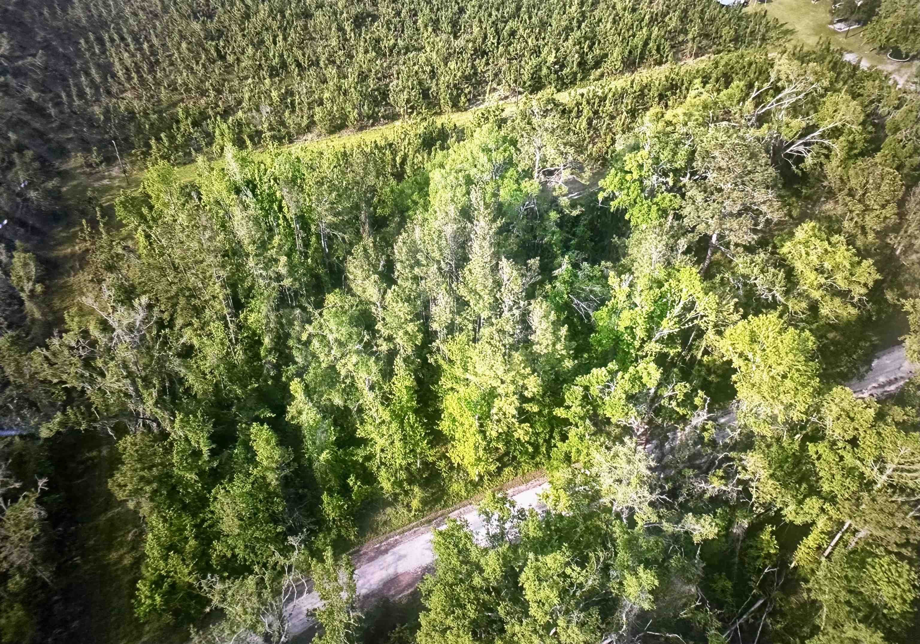 0 Northeast Rue Drive Pinetta, FL 32350 - Photo 11 of 19