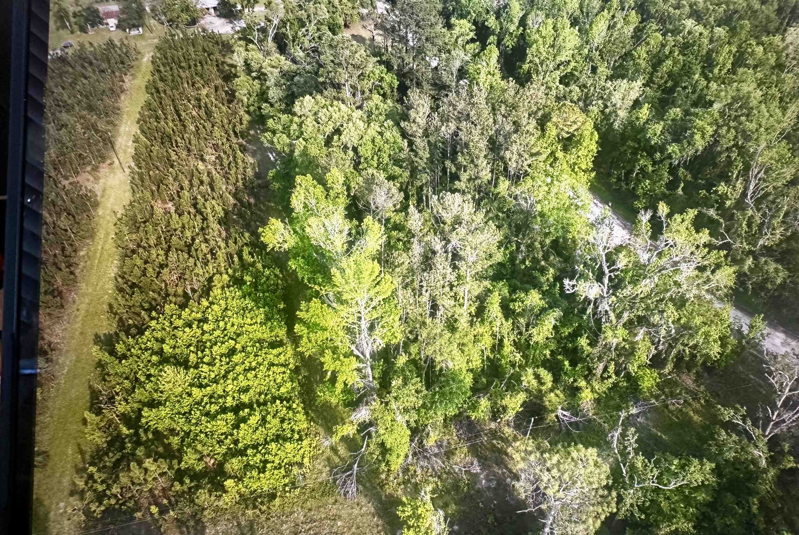 0 Northeast Rue Drive Pinetta, FL 32350 - Photo 13 of 19