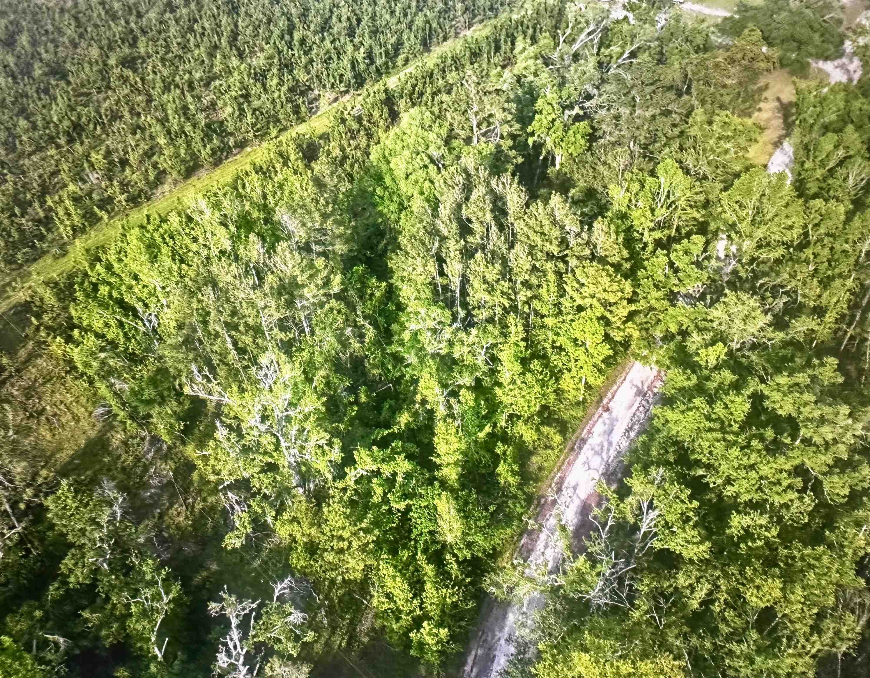 0 Northeast Rue Drive Pinetta, FL 32350 - Photo 14 of 19