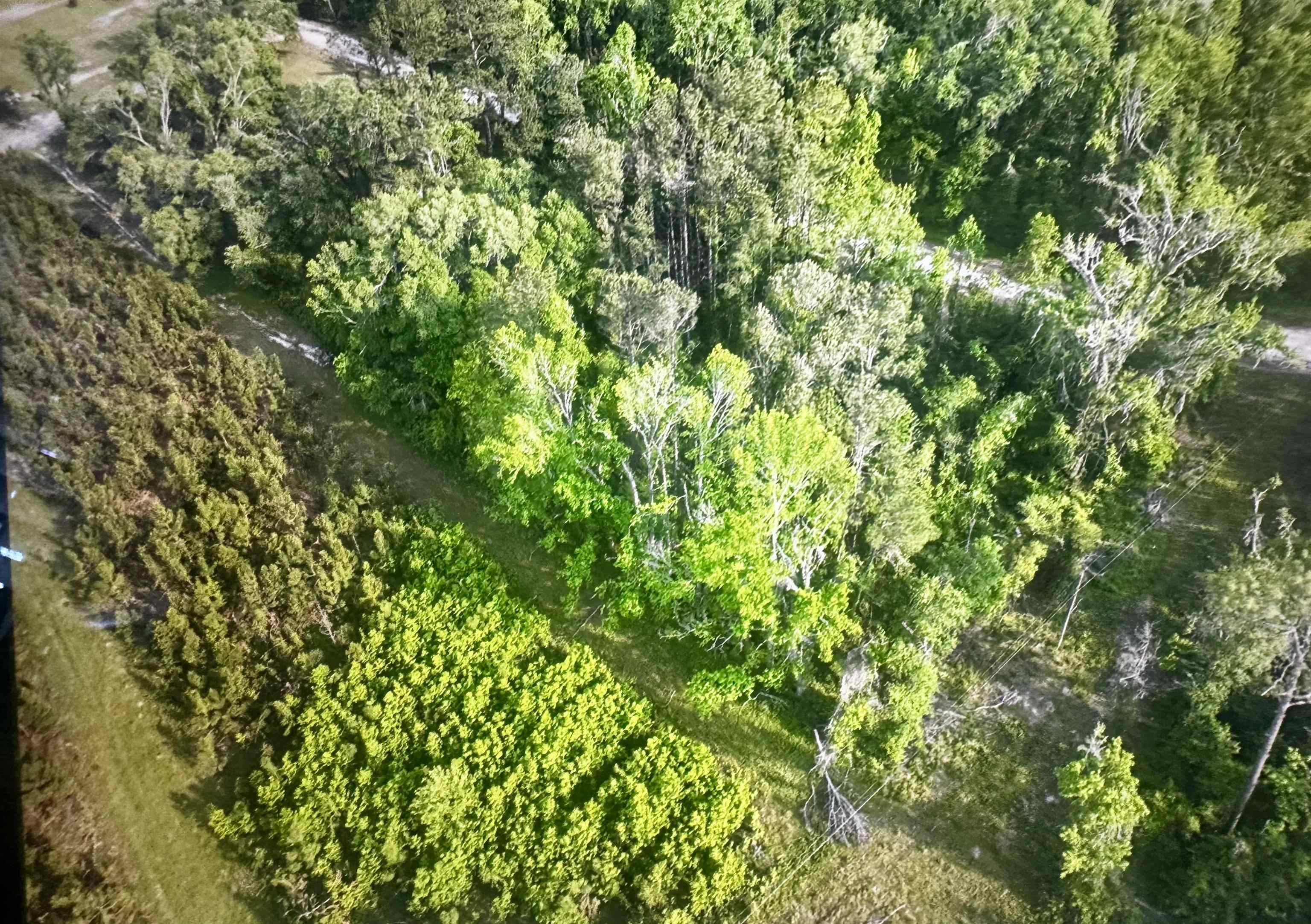 0 Northeast Rue Drive Pinetta, FL 32350 - Photo 16 of 19