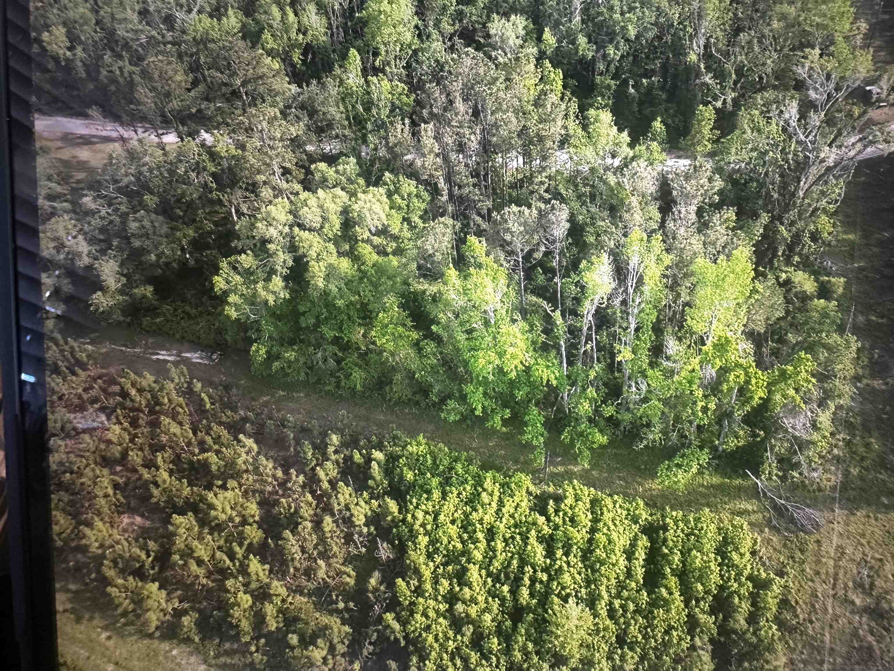 0 Northeast Rue Drive Pinetta, FL 32350 - Photo 17 of 19