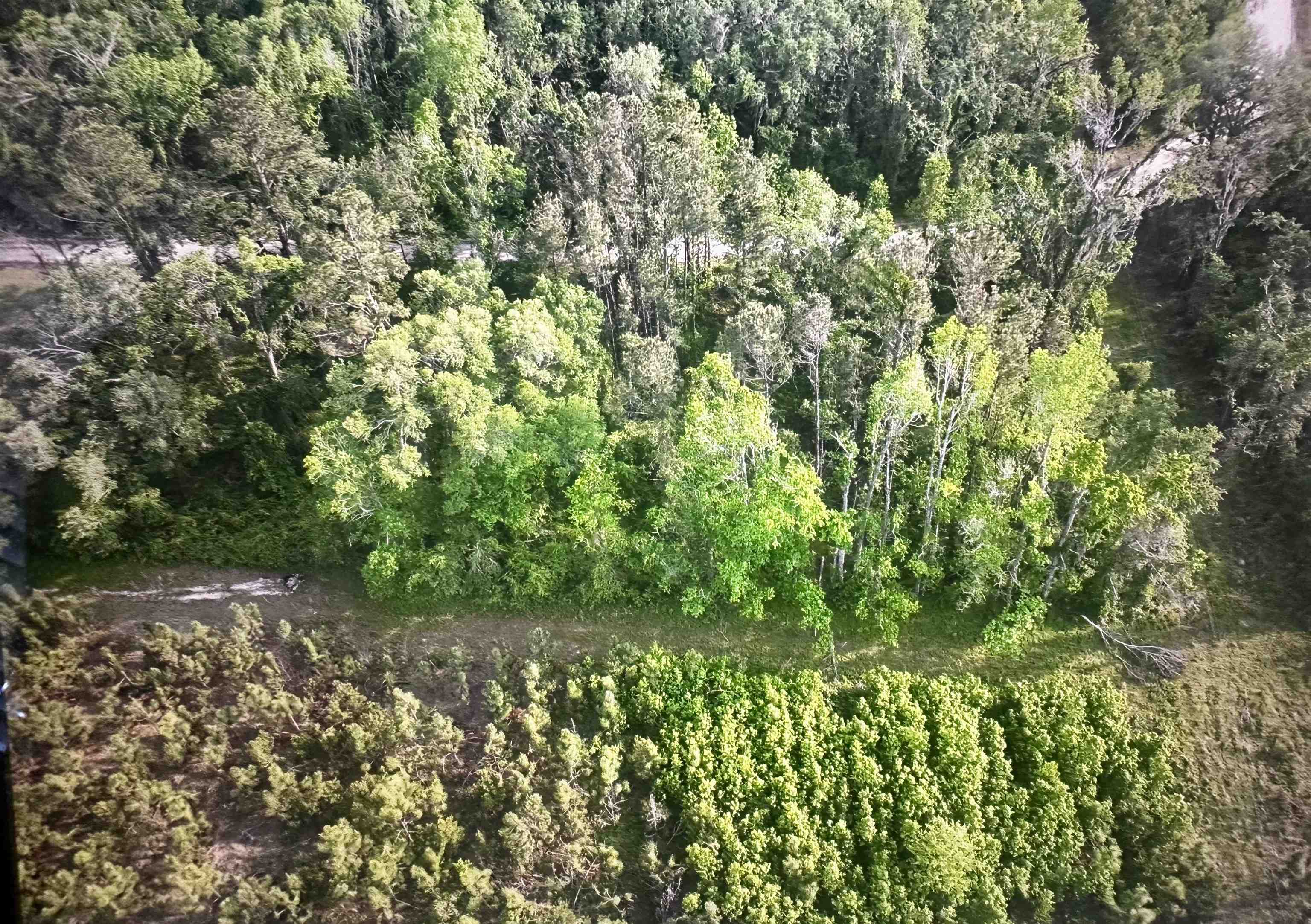 0 Northeast Rue Drive Pinetta, FL 32350 - Photo 18 of 19