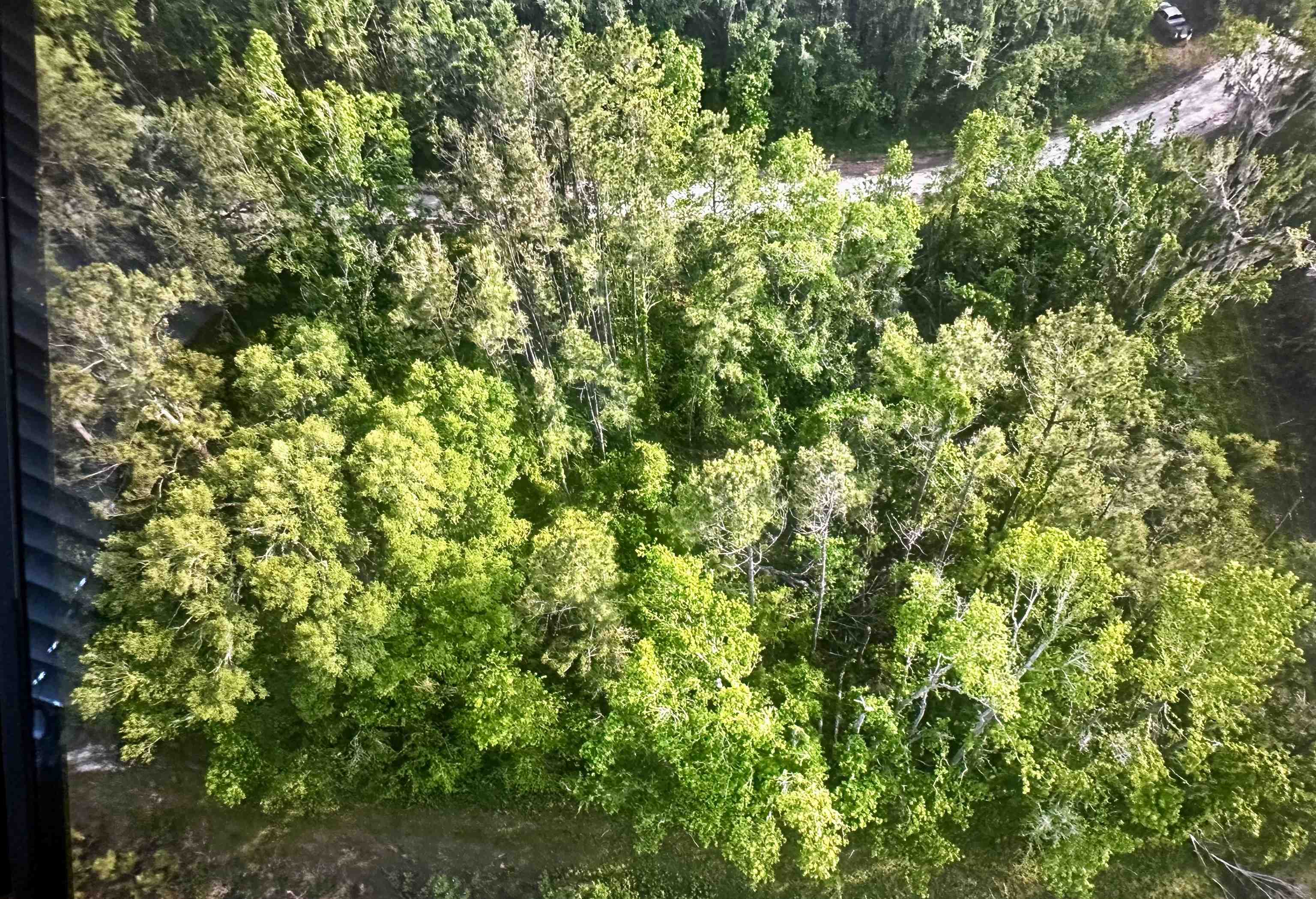 0 Northeast Rue Drive Pinetta, FL 32350 - Photo 19 of 19