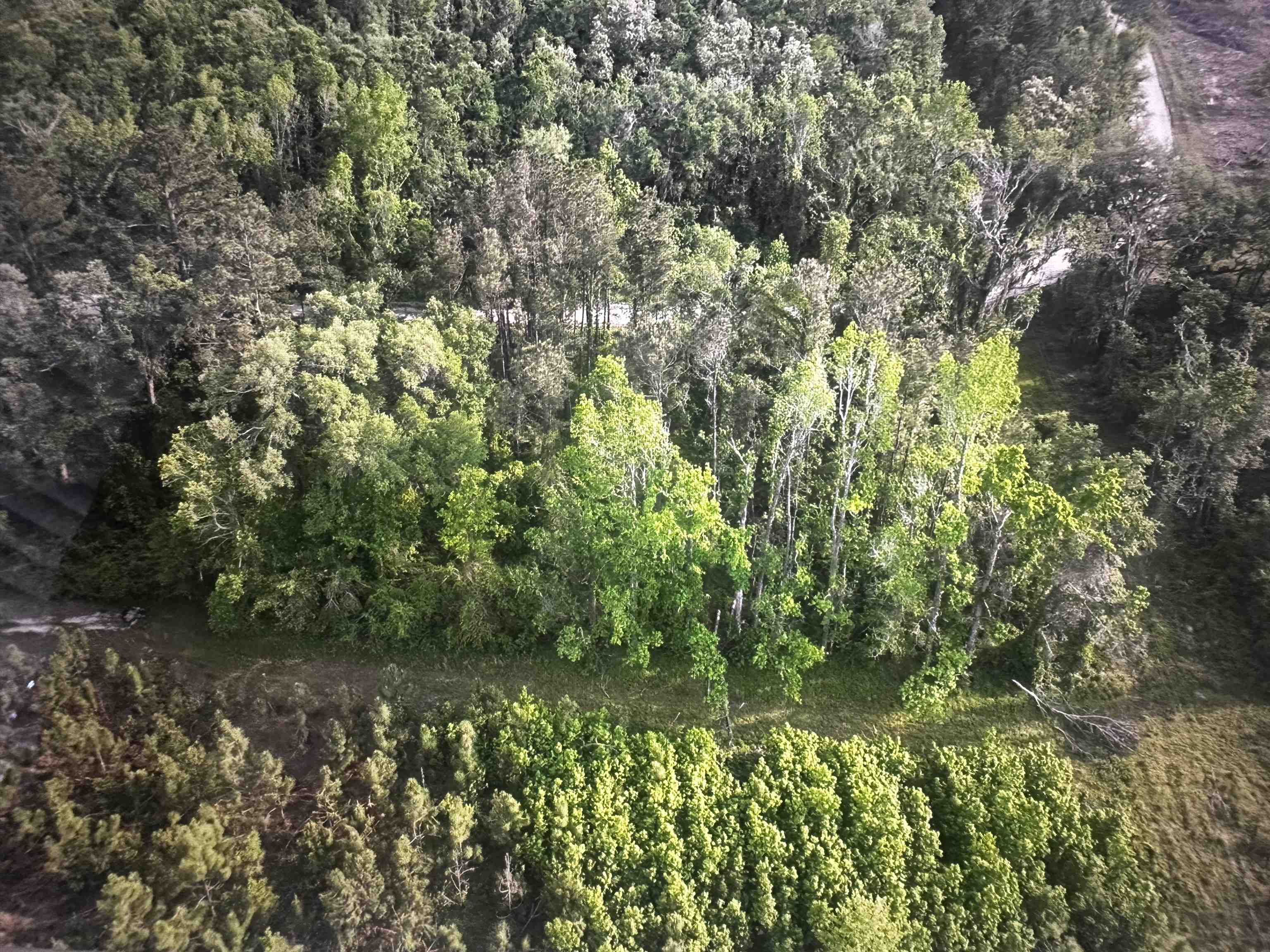 0 Northeast Rue Drive Pinetta, FL 32350 - Photo 2 of 19